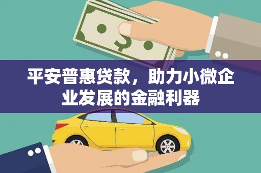 平舆平安普惠贷款，助力小微企业发展的金融利器