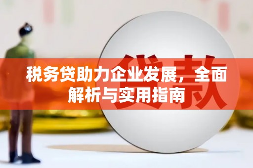 平舆税务贷助力企业发展，全面解析与实用指南
