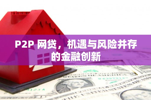 平舆P2P 网贷，机遇与风险并存的金融创新