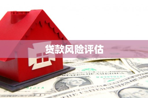 平舆贷款风险评估