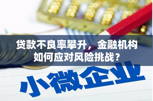 平舆贷款不良率攀升，金融机构如何应对风险挑战？
