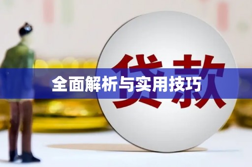 平舆全面解析与实用技巧