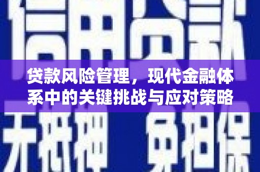 平舆贷款风险管理，现代金融体系中的关键挑战与应对策略