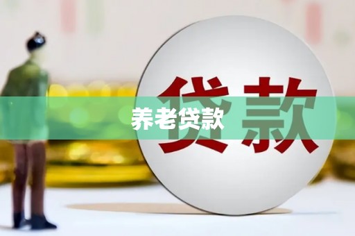 平舆养老贷款