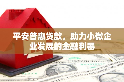平舆平安普惠贷款，助力小微企业发展的金融利器