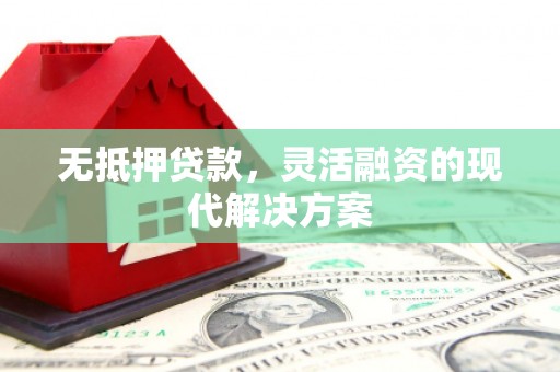 平舆无抵押贷款，灵活融资的现代解决方案