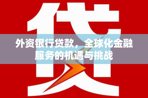 平舆外资银行贷款，全球化金融服务的机遇与挑战