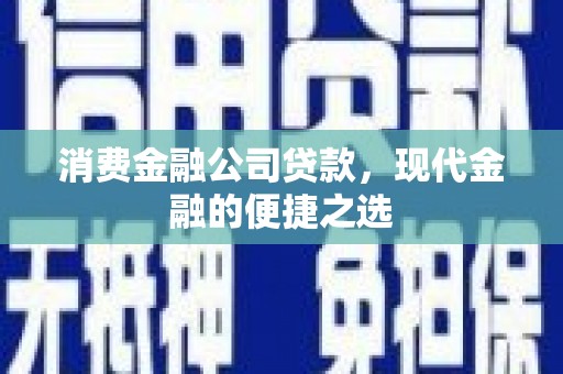 平舆消费金融公司贷款，现代金融的便捷之选