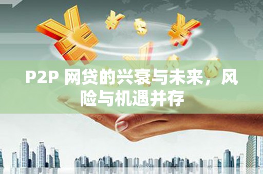 平舆P2P 网贷的兴衰与未来，风险与机遇并存