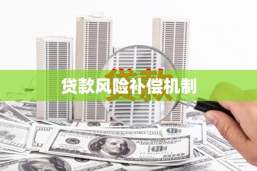 平舆贷款风险补偿机制