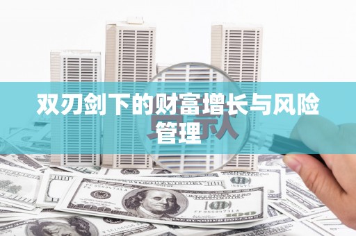 平舆双刃剑下的财富增长与风险管理