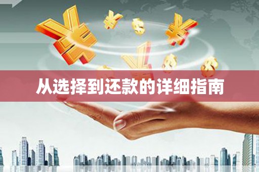 平舆从选择到还款的详细指南