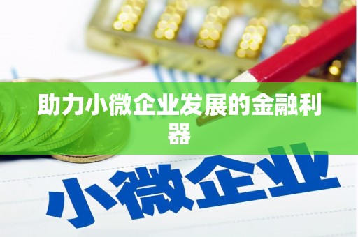 平舆助力小微企业发展的金融利器