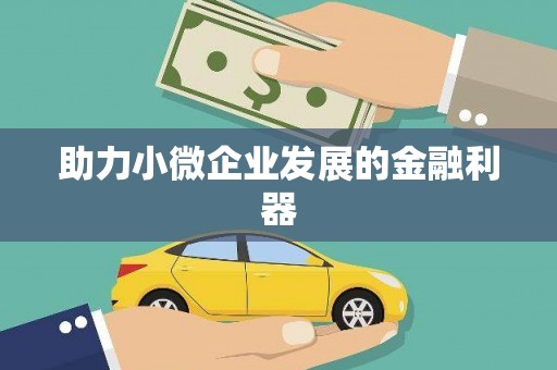 平舆助力小微企业发展的金融利器
