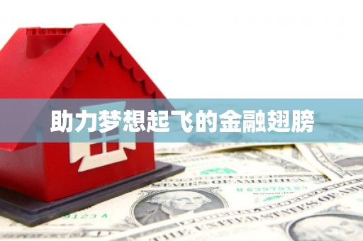 平舆助力梦想起飞的金融翅膀