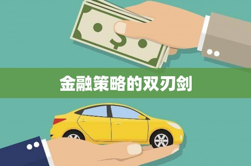 平舆金融策略的双刃剑