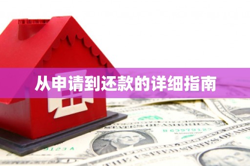 平舆从申请到还款的详细指南