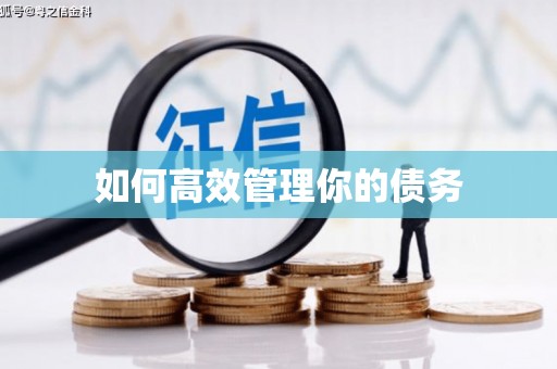平舆如何高效管理你的债务
