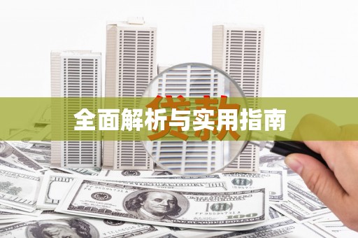 平舆全面解析与实用指南