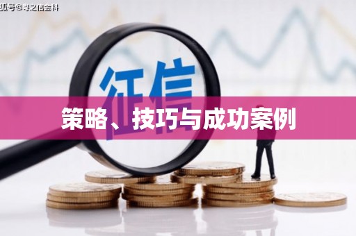平舆策略、技巧与成功案例