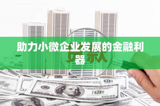 平舆助力小微企业发展的金融利器