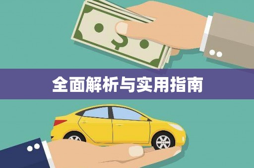 平舆全面解析与实用指南