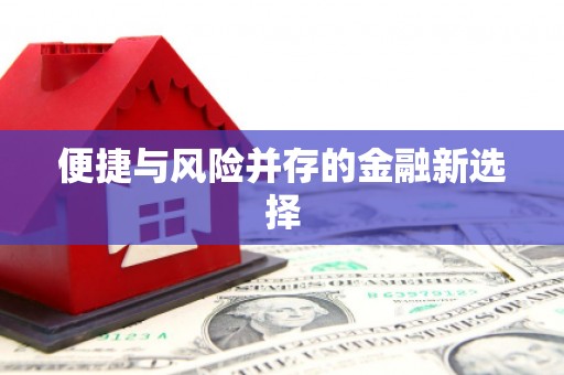 平舆便捷与风险并存的金融新选择