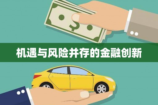 平舆机遇与风险并存的金融创新
