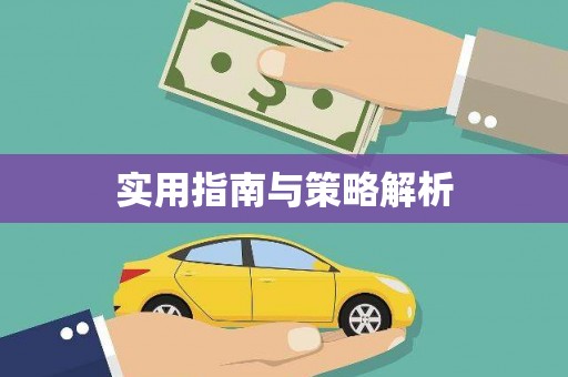 平舆实用指南与策略解析