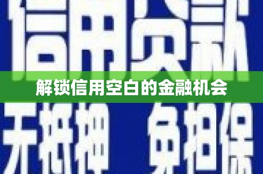 平舆解锁信用空白的金融机会