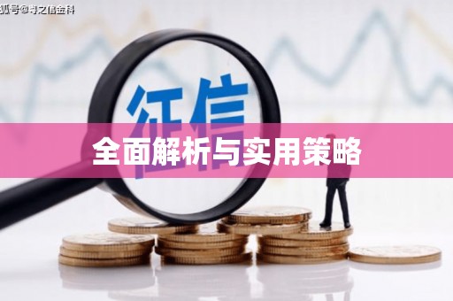 平舆全面解析与实用策略