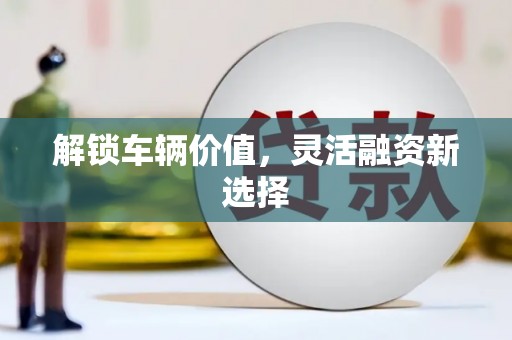 平舆解锁车辆价值，灵活融资新选择