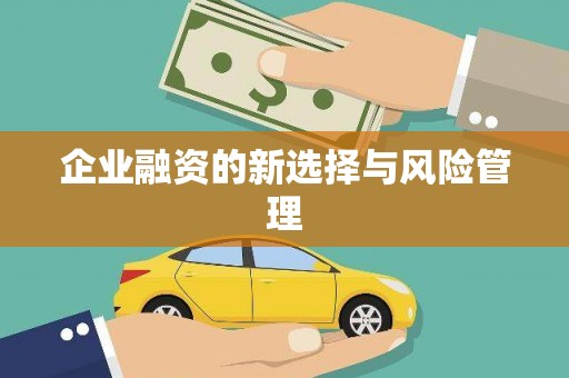 平舆企业融资的新选择与风险管理