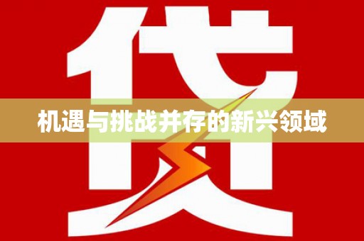 平舆机遇与挑战并存的新兴领域