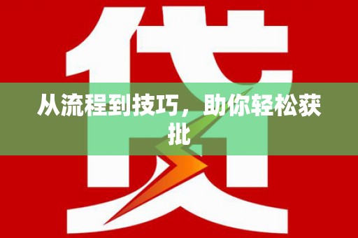 平舆从流程到技巧，助你轻松获批