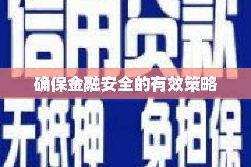 平舆确保金融安全的有效策略