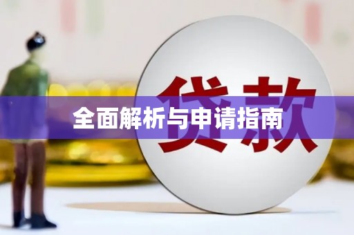 平舆全面解析与申请指南