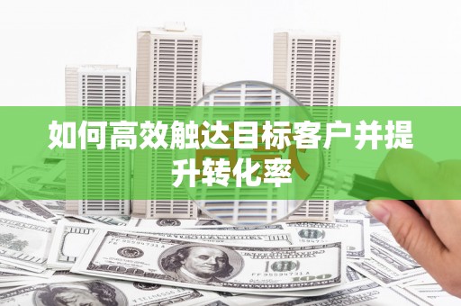 平舆如何高效触达目标客户并提升转化率