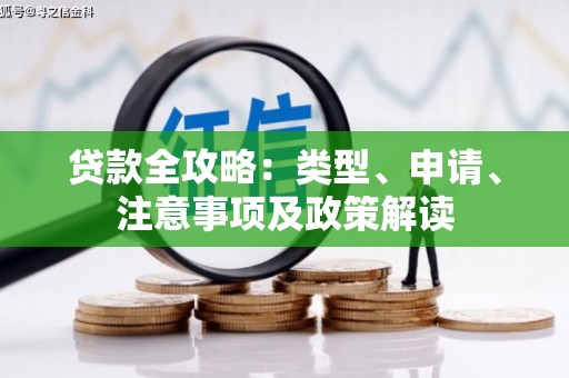 平舆贷款全攻略：类型、申请、注意事项及政策解读