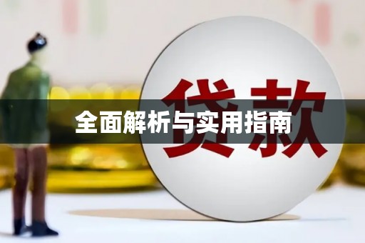 平舆全面解析与实用指南