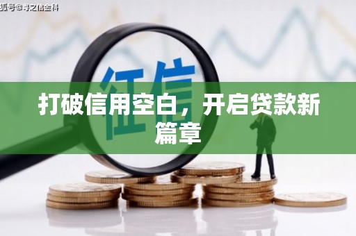 平舆打破信用空白，开启贷款新篇章
