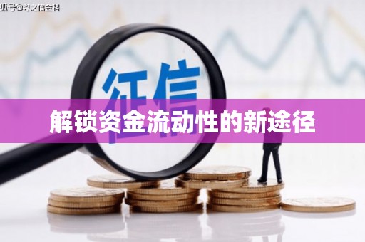 平舆解锁资金流动性的新途径