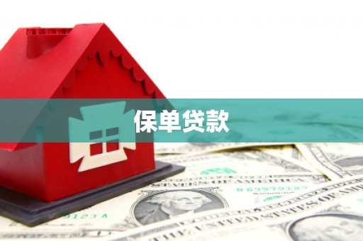 平舆保单贷款 平舆保单贷款